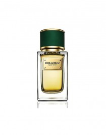 Dolce Gabbana Velvet Collection Velvet Vetiver EDP 150 ml Erkek Parfüm