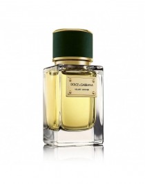 Dolce Gabbana Velvet Collection Velvet Vetiver EDP 50 ml Erkek Parfüm