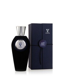 V Canto Alibi Unisex Edp Parfüm 100 ml