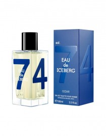 Iceberg Cedar EDT 100 ml Erkek Parfüm
